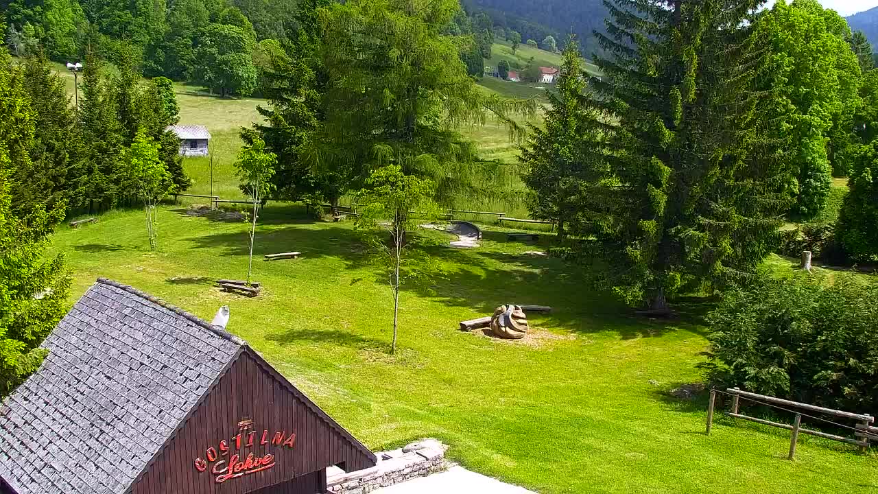 Webcam Lokve – The beauty of the Trnovo forest