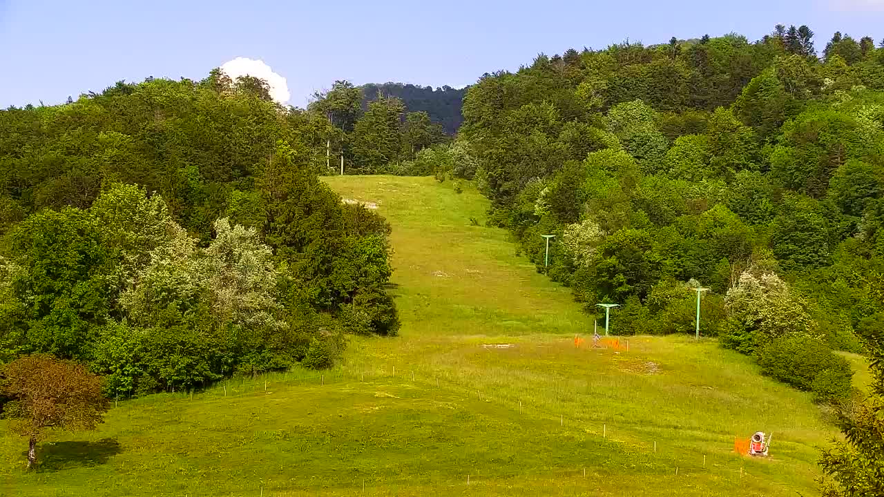 Webcam Lokve – The beauty of the Trnovo forest