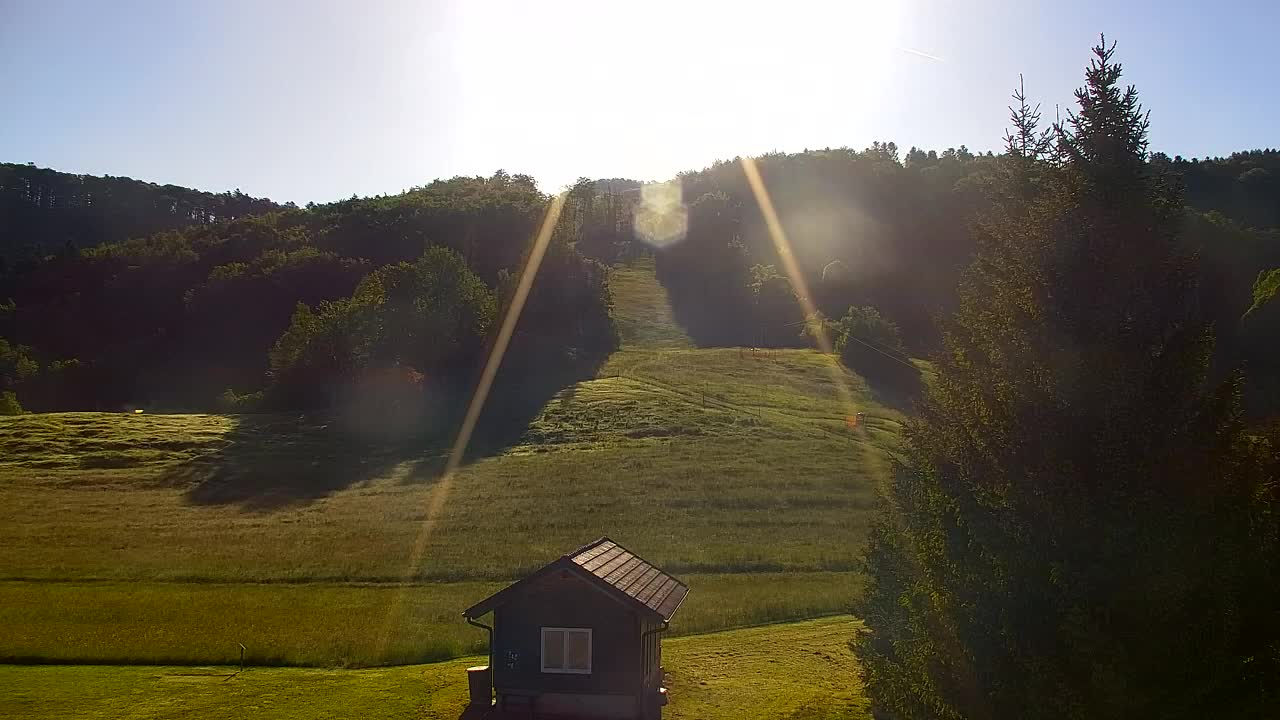 Webcam Lokve – Die Schönheit des Trnovo-Waldes