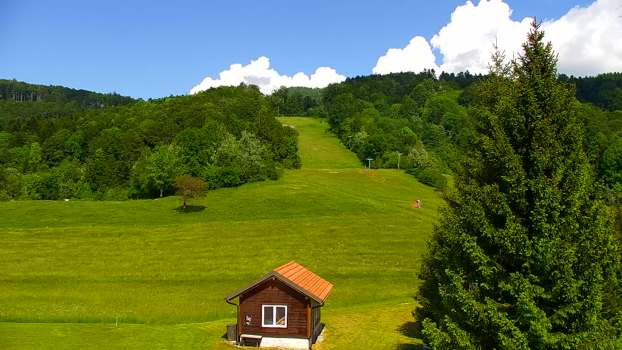 Webcam Loqua / Lokve – La bellezza della selva di Tarnova