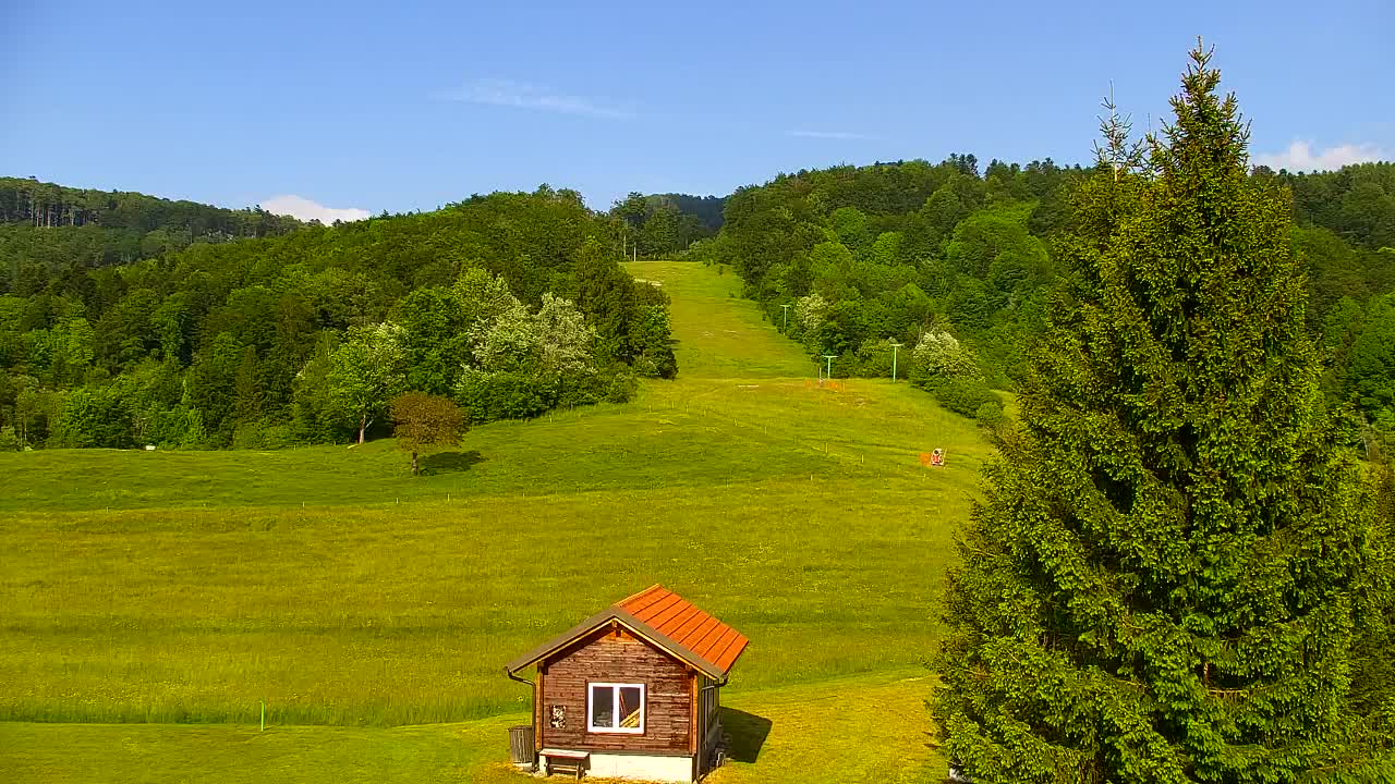 Webcam Lokve – La beauté de la forêt de Trnovo
