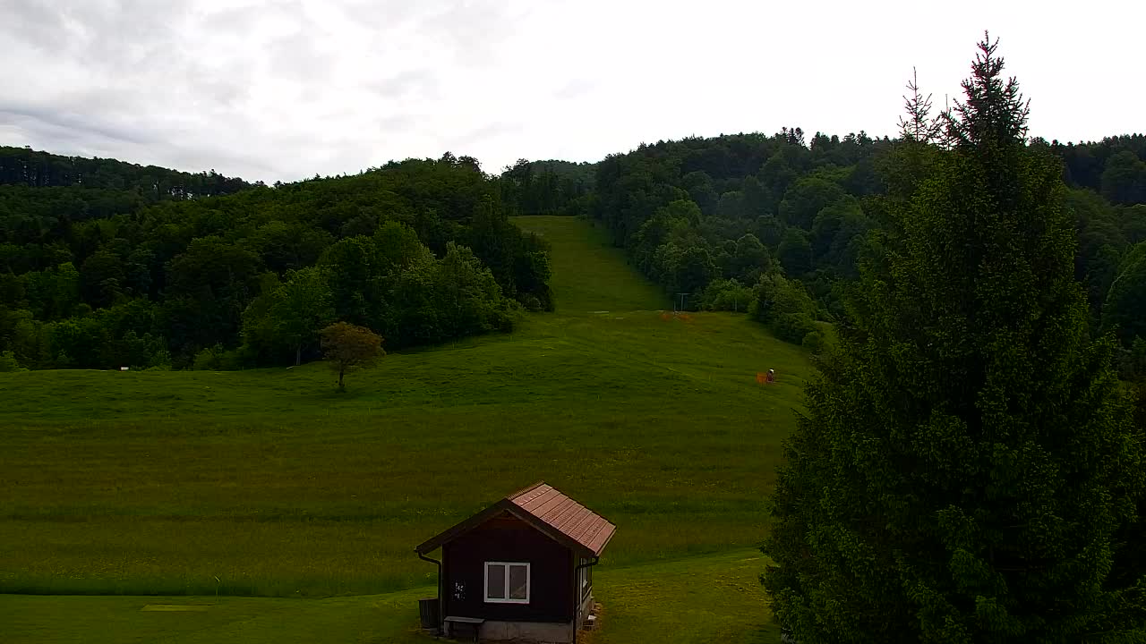 Webcam Loqua / Lokve – La bellezza della selva di Tarnova