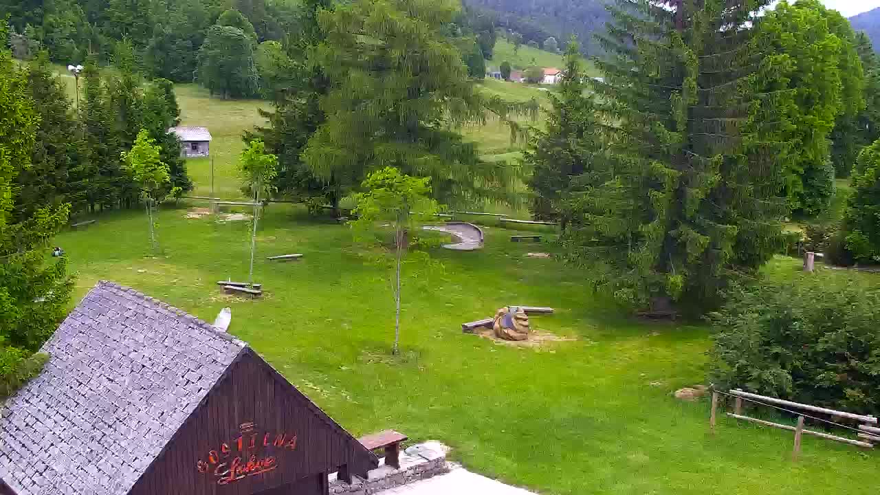 Webcam Lokve – La beauté de la forêt de Trnovo