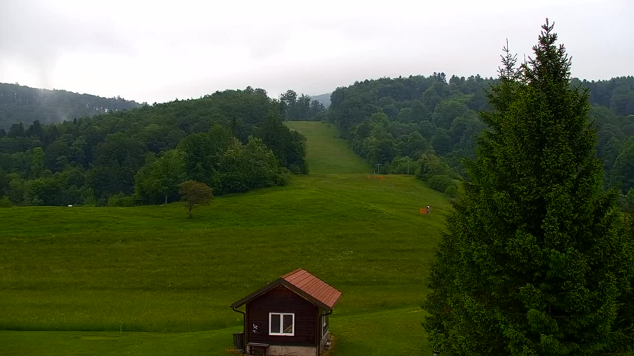 Webcam Lokve – The beauty of the Trnovo forest