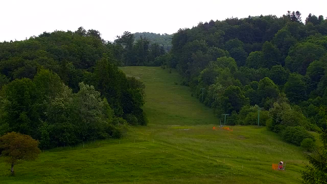 Webcam Lokve – The beauty of the Trnovo forest