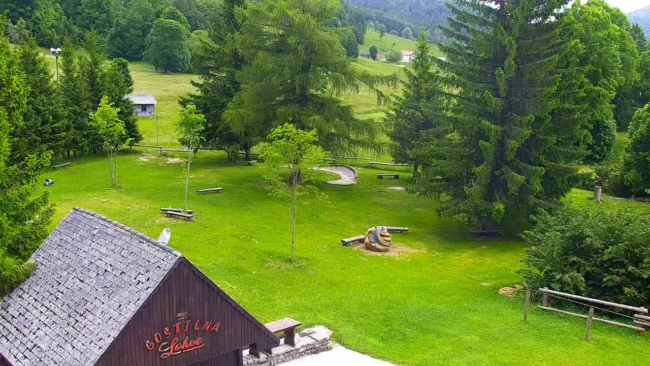 Webcam Loqua / Lokve – La bellezza della selva di Tarnova