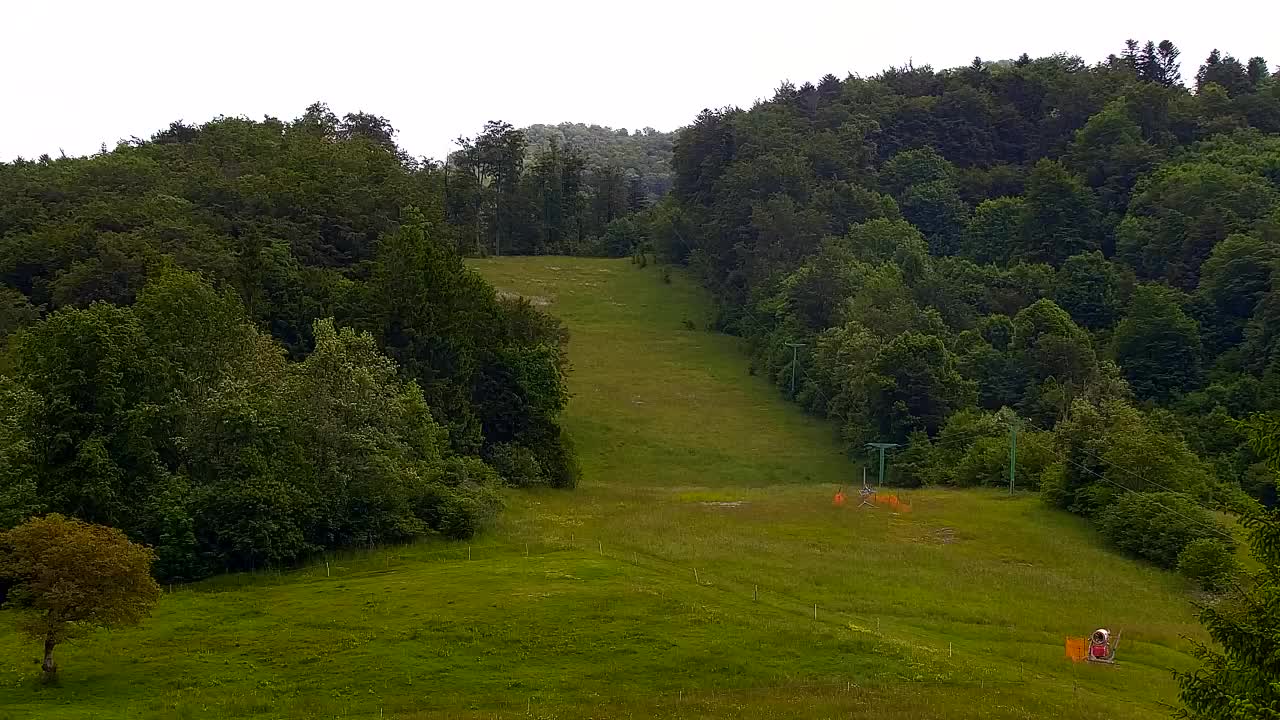 Webcam Lokve – The beauty of the Trnovo forest