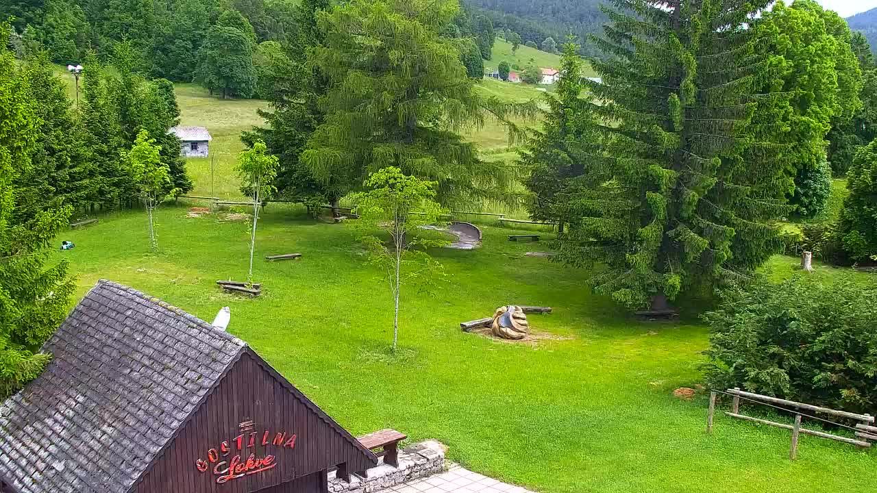 Webcam Lokve – The beauty of the Trnovo forest