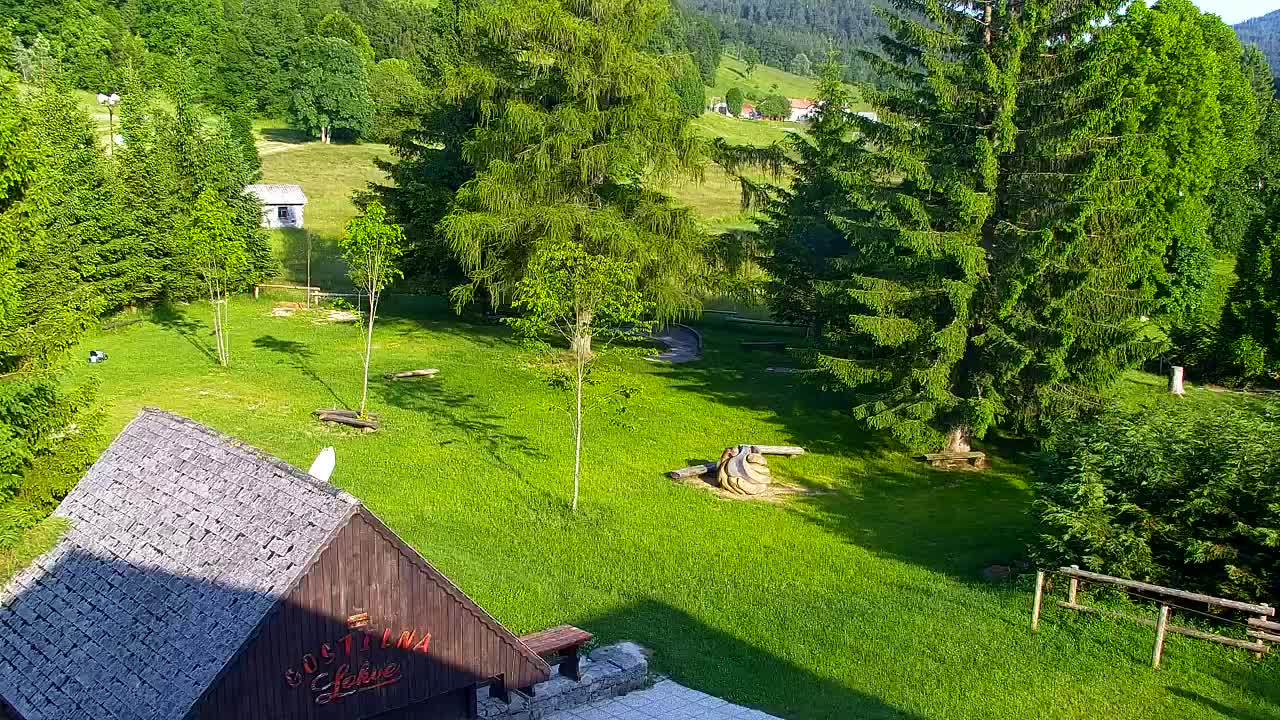 Webcam Lokve – The beauty of the Trnovo forest