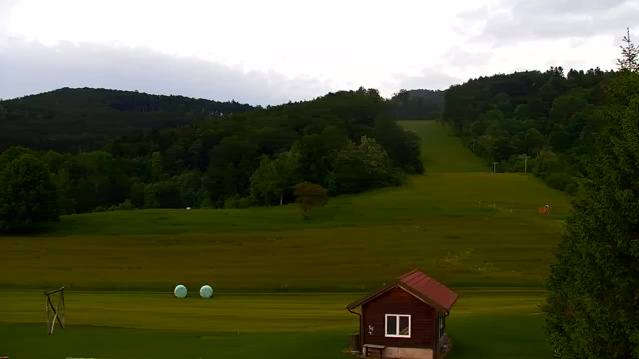 Webcam Lokve – The beauty of the Trnovo forest