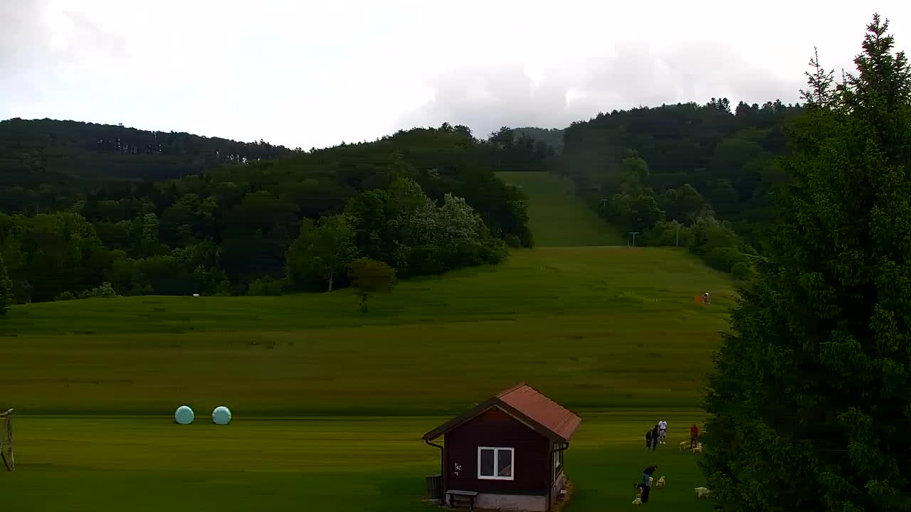 Webcam Lokve – The beauty of the Trnovo forest