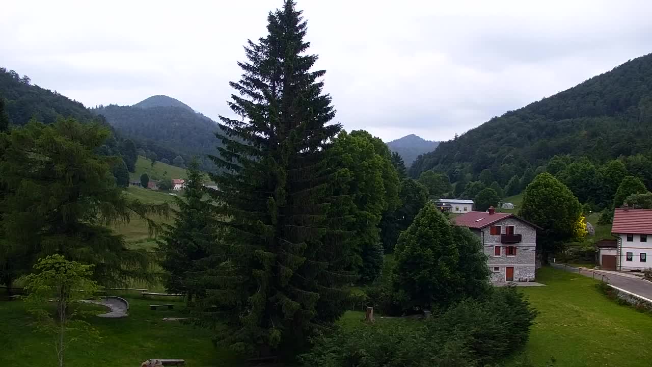 Webcam Lokve – The beauty of the Trnovo forest