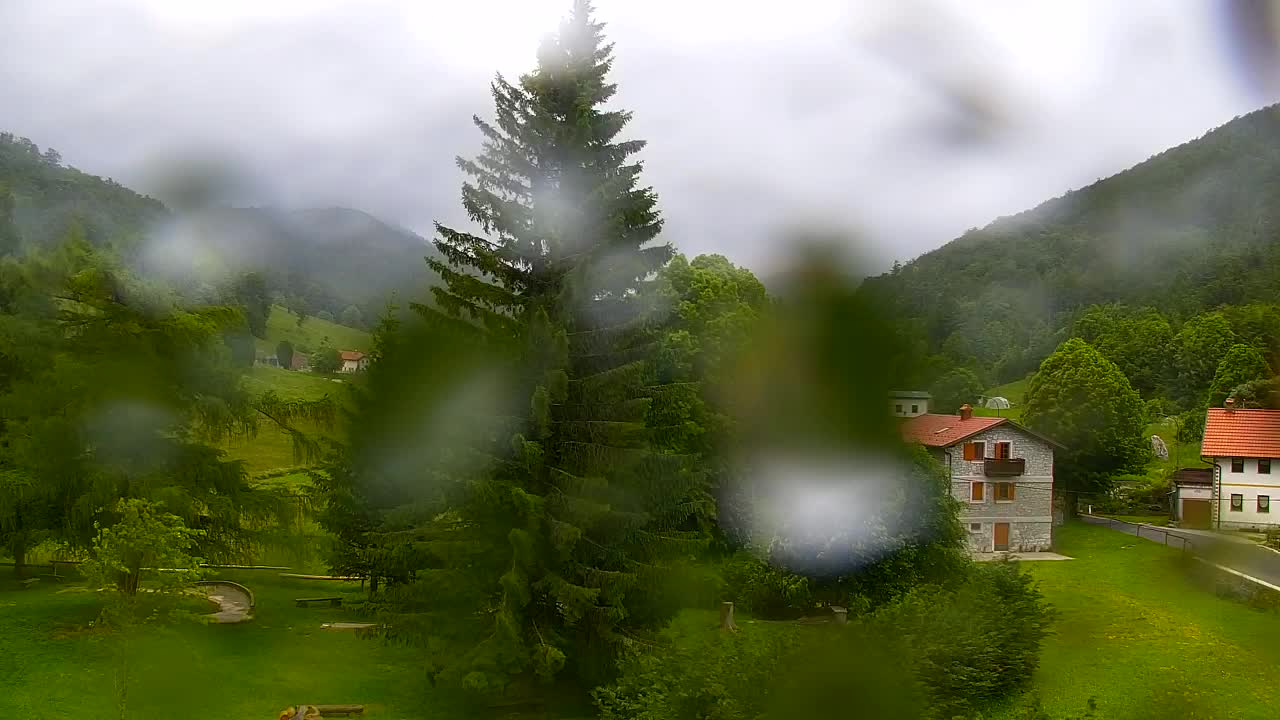 Webcam Lokve – The beauty of the Trnovo forest