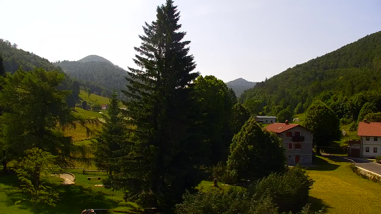 Webcam Lokve – The beauty of the Trnovo forest