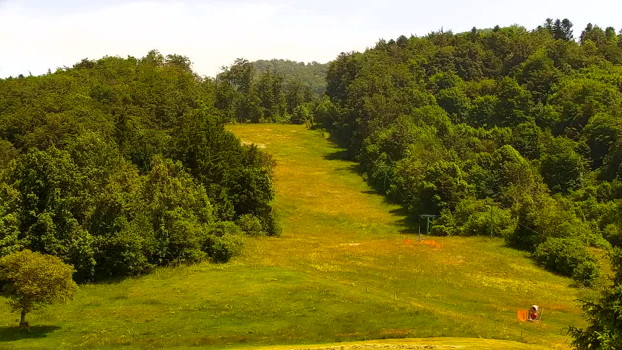 Webcam Lokve – The beauty of the Trnovo forest
