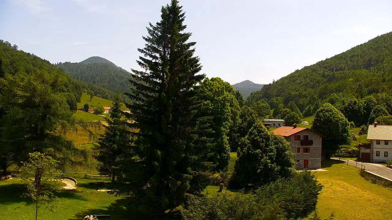 Webcam Lokve – The beauty of the Trnovo forest