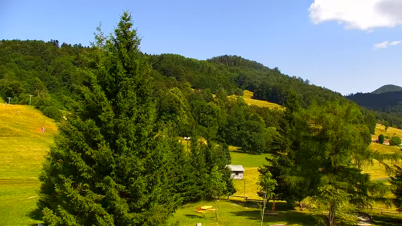 Webcam Lokve – The beauty of the Trnovo forest