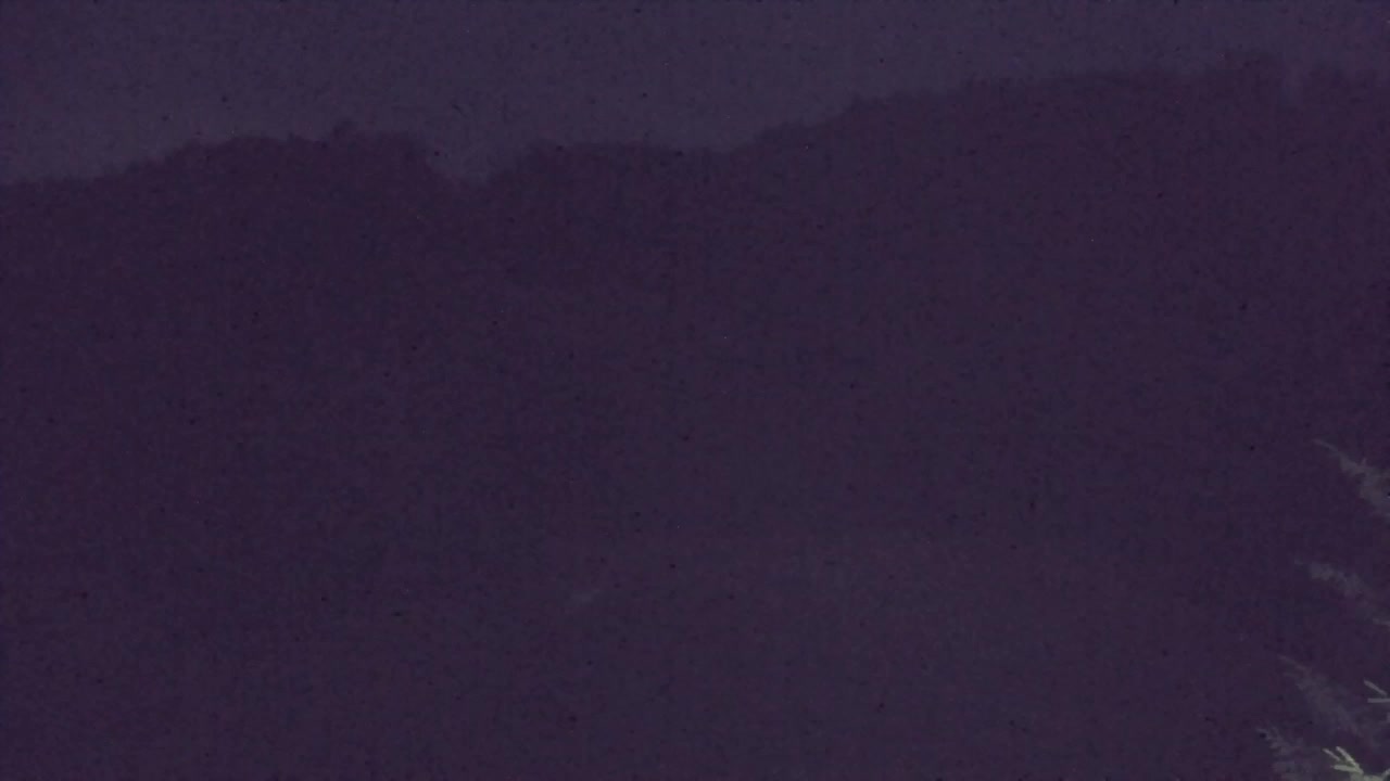 Webcam Lokve – The beauty of the Trnovo forest