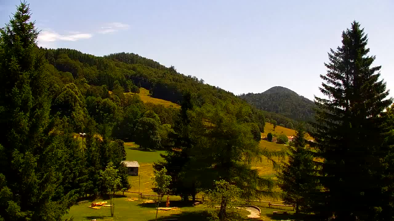 Webcam Lokve – The beauty of the Trnovo forest