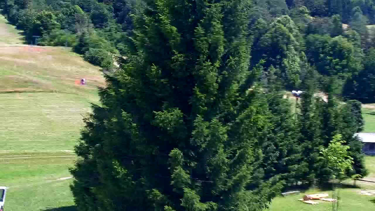 Webcam Lokve – The beauty of the Trnovo forest