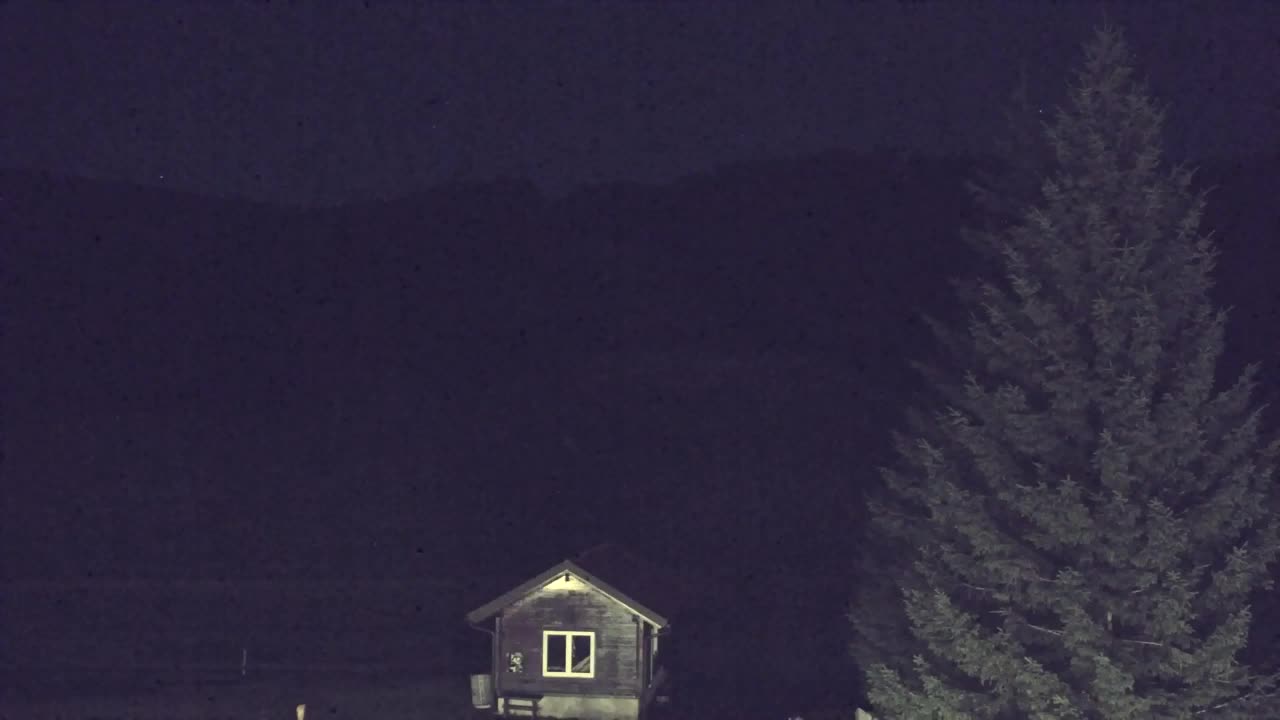 Webcam Lokve – The beauty of the Trnovo forest
