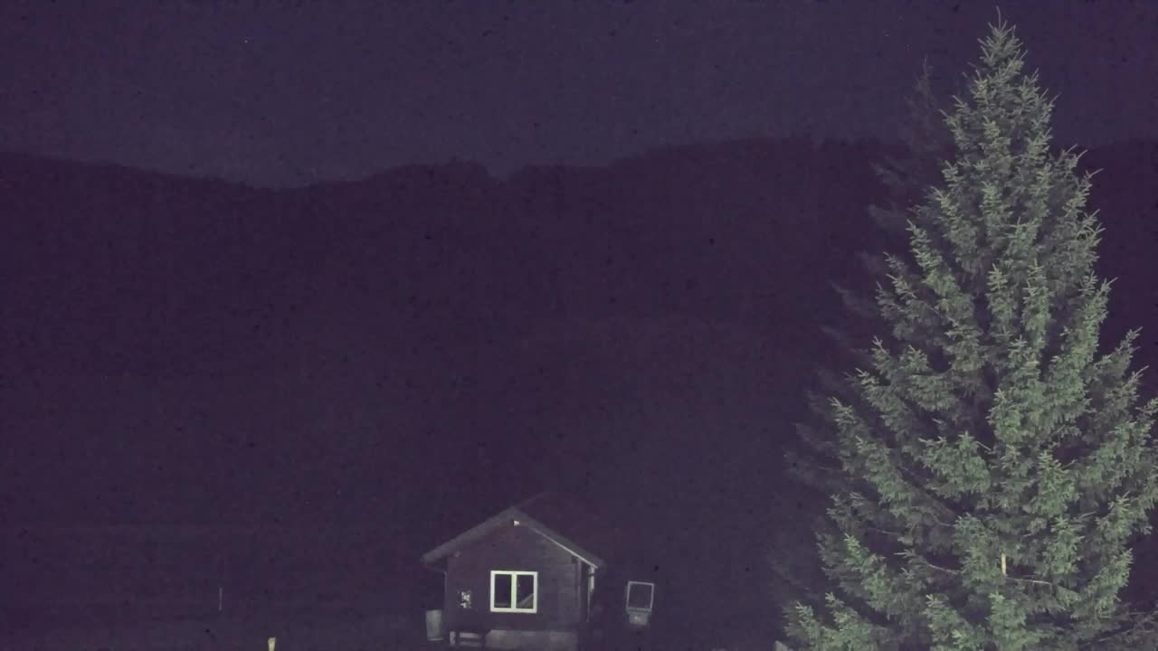 Webcam Loqua / Lokve – La bellezza della selva di Tarnova
