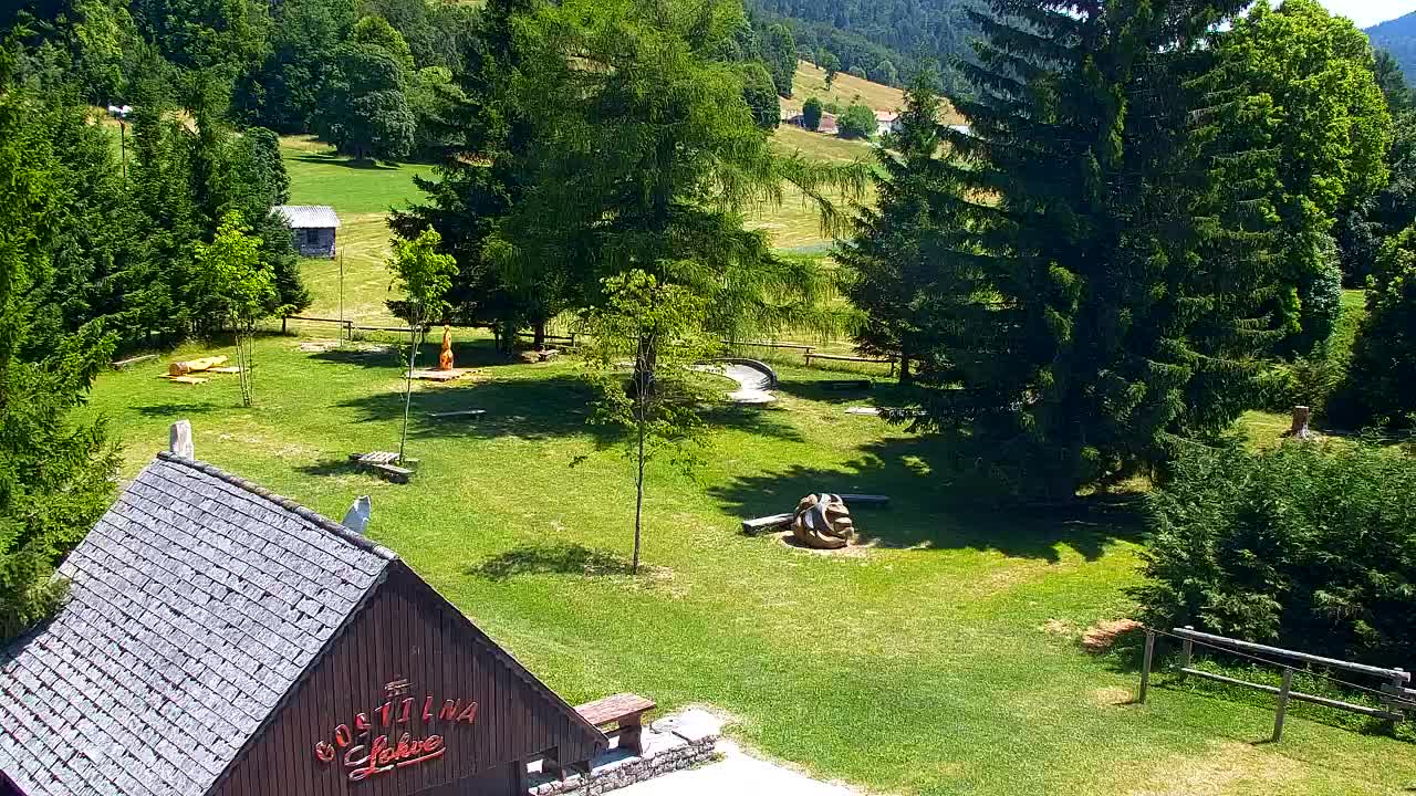 Webcam Lokve – The beauty of the Trnovo forest