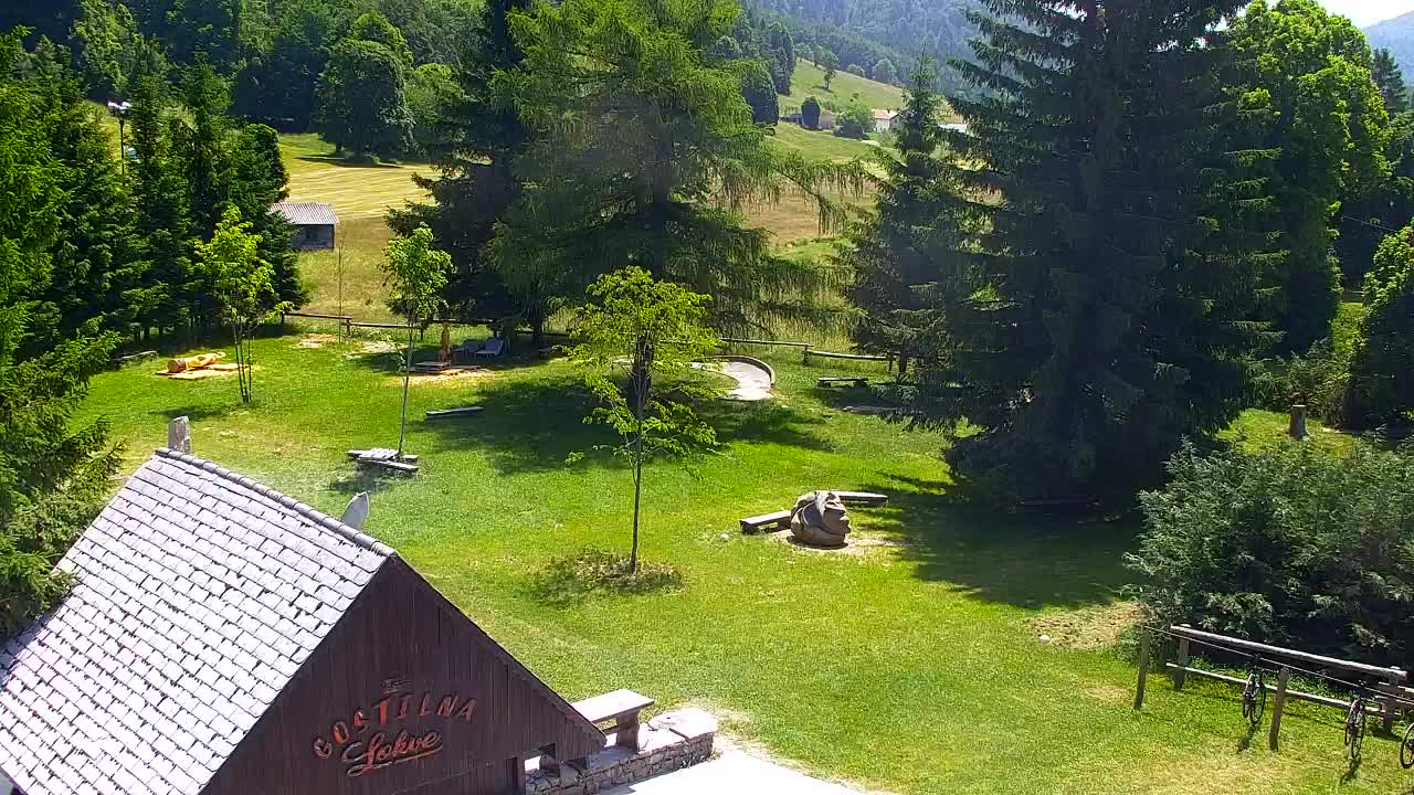 Webcam Lokve – The beauty of the Trnovo forest
