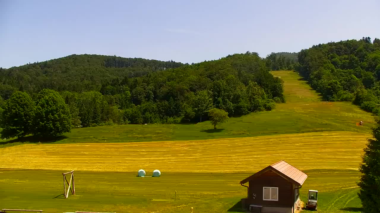 Webcam Lokve – The beauty of the Trnovo forest