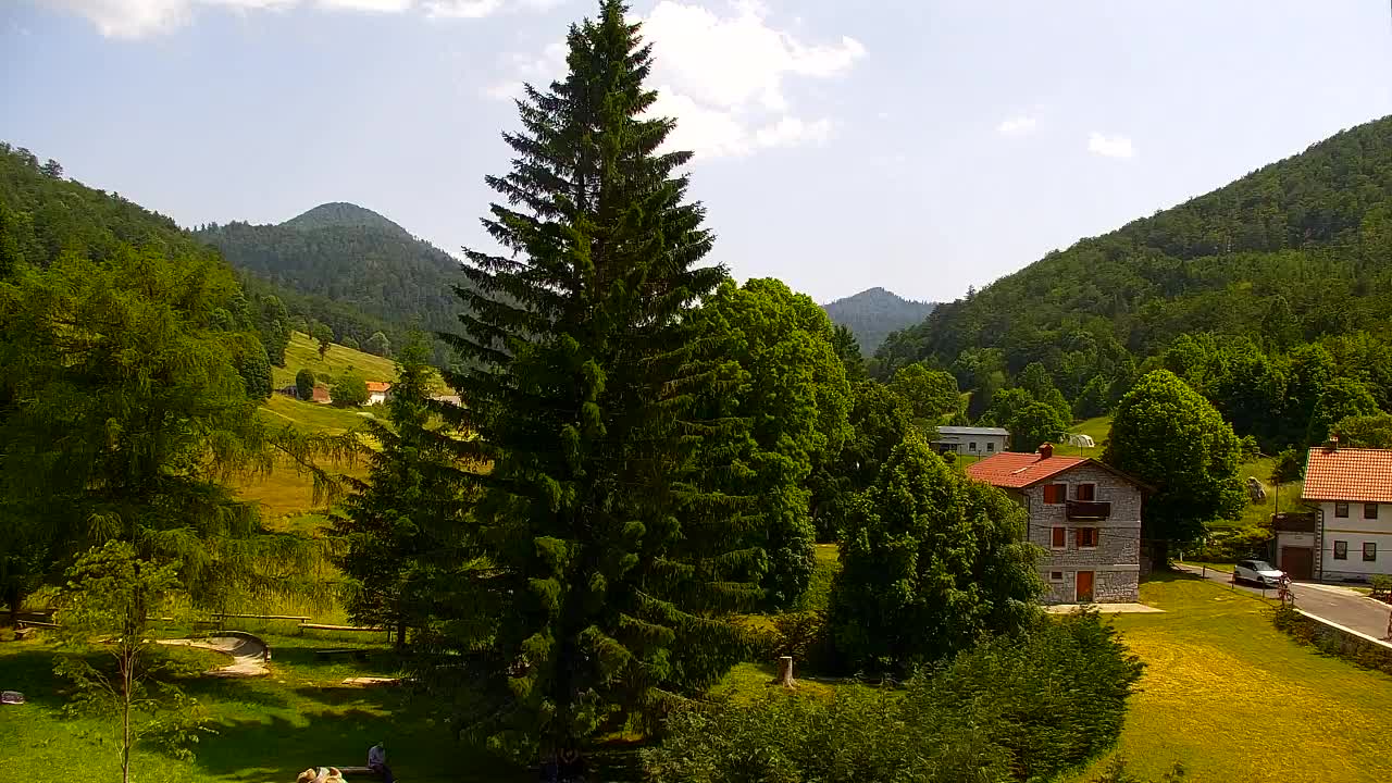 Webcam Lokve – The beauty of the Trnovo forest