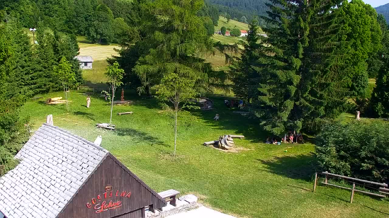 Webcam Lokve – The beauty of the Trnovo forest
