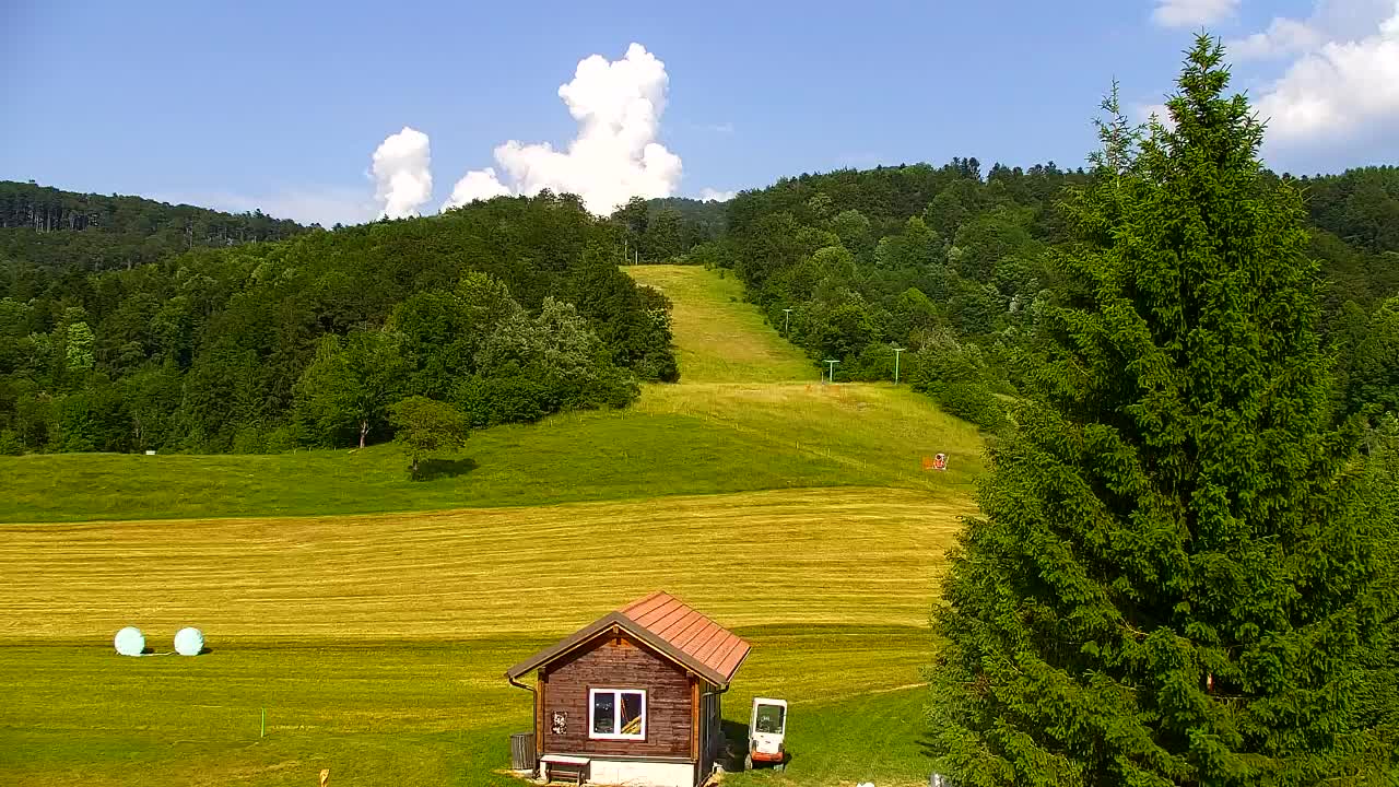 Webcam Lokve – The beauty of the Trnovo forest
