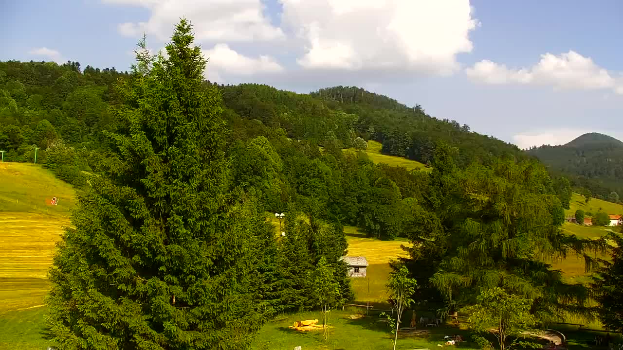 Webcam Lokve – The beauty of the Trnovo forest
