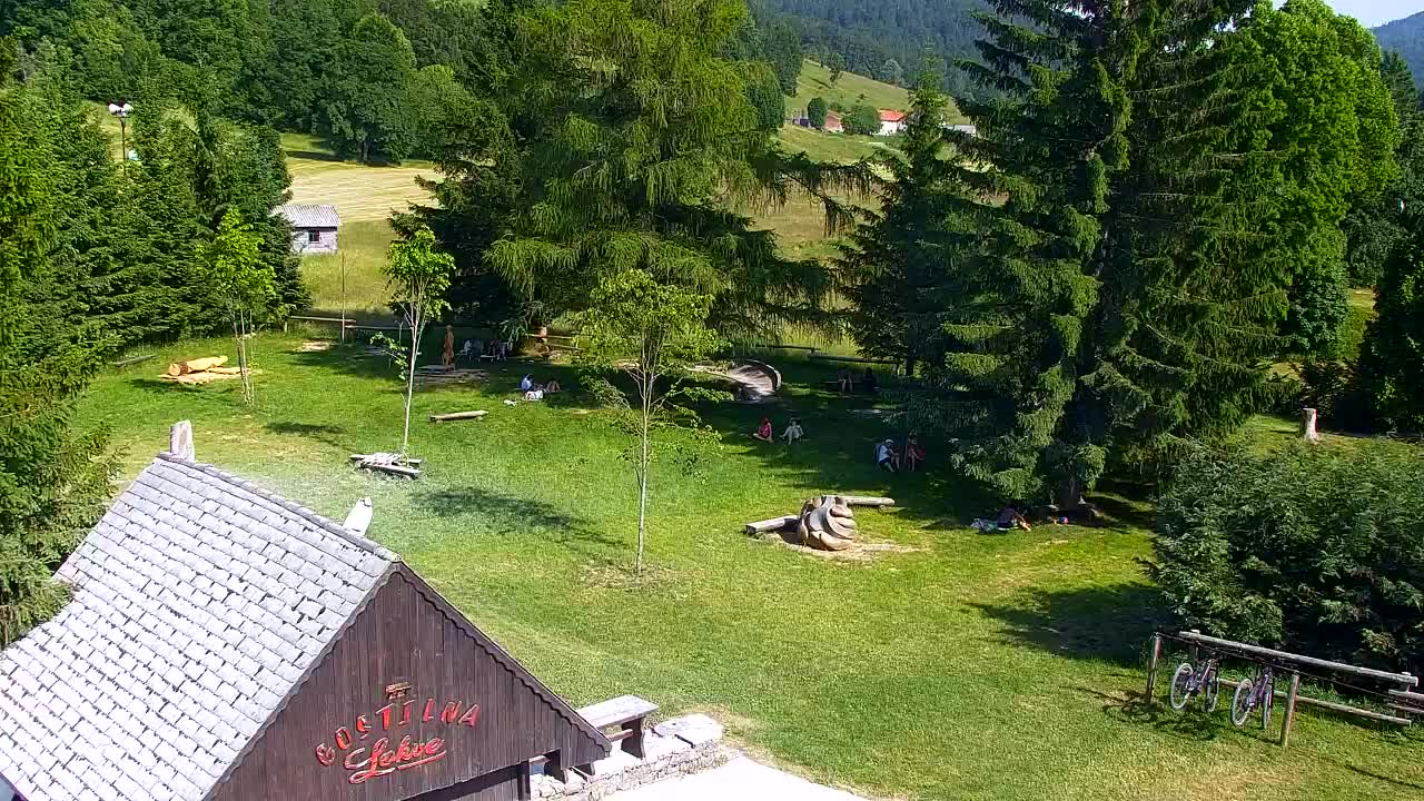 Webcam Lokve – The beauty of the Trnovo forest