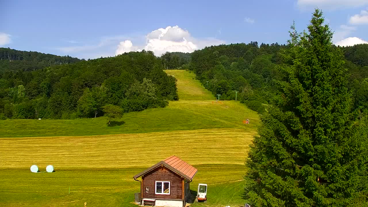 Webcam Lokve – The beauty of the Trnovo forest