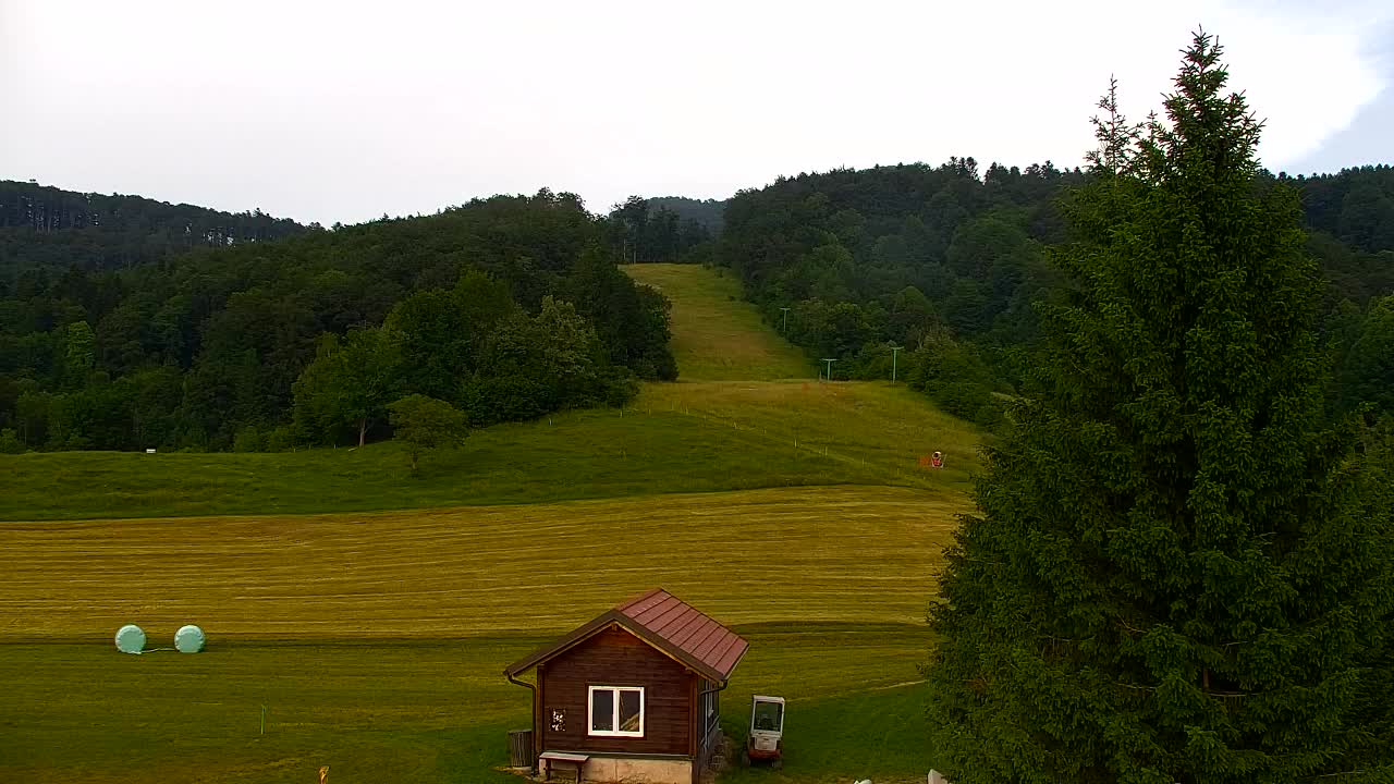 Webcam Lokve – The beauty of the Trnovo forest