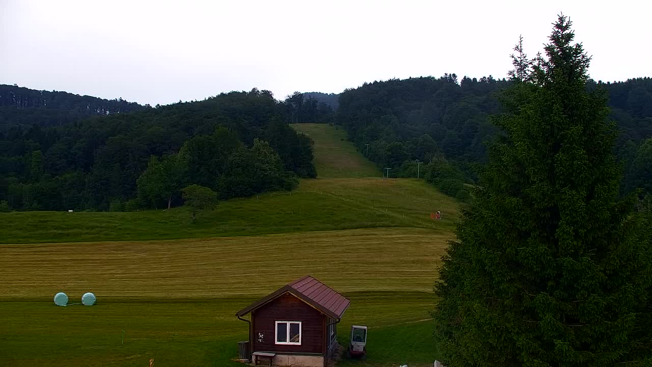 Webcam Lokve – The beauty of the Trnovo forest
