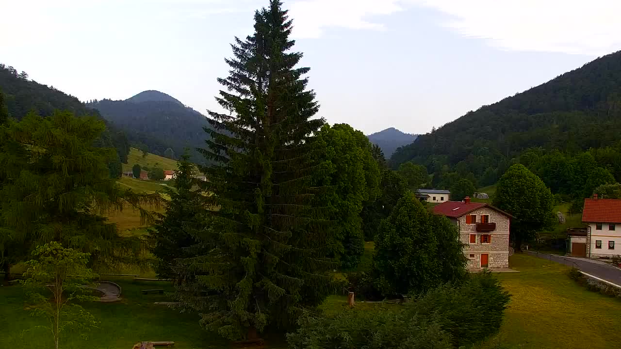 Webcam Lokve – The beauty of the Trnovo forest