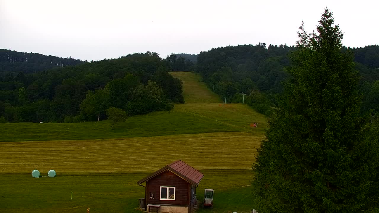 Webcam Lokve – The beauty of the Trnovo forest