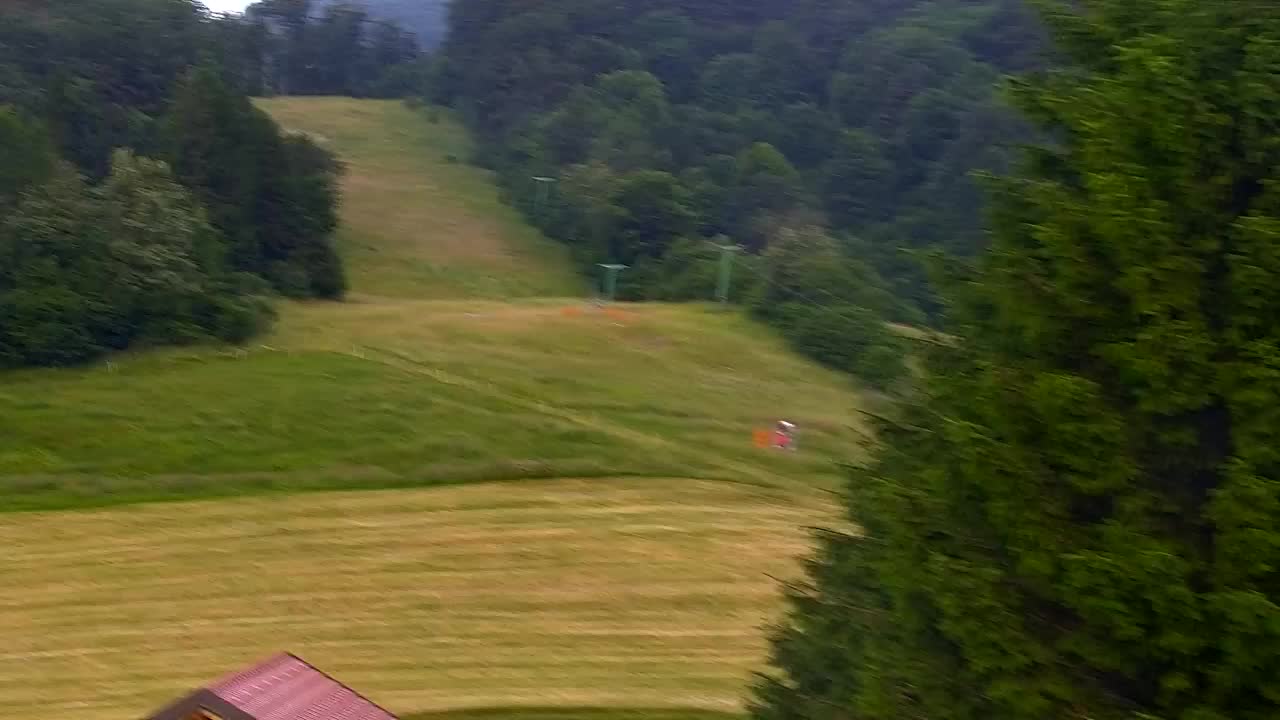 Webcam Lokve – The beauty of the Trnovo forest