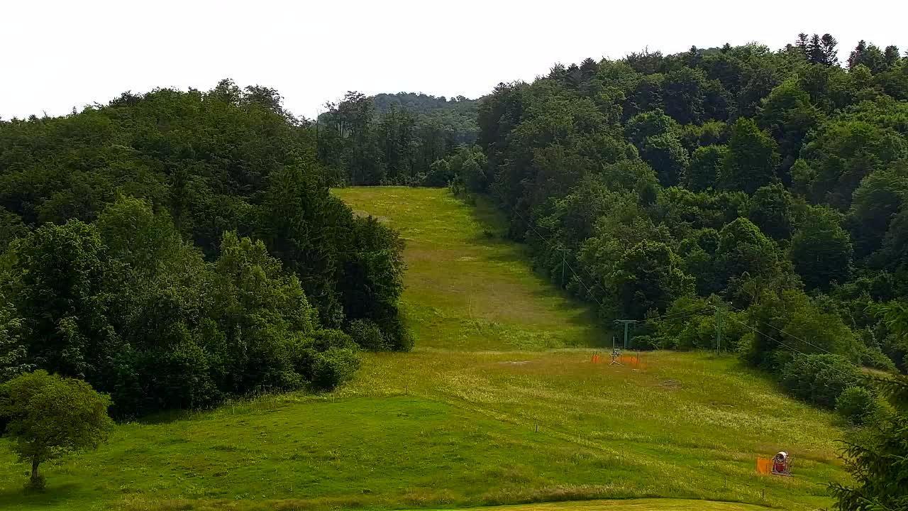 Webcam Lokve – The beauty of the Trnovo forest