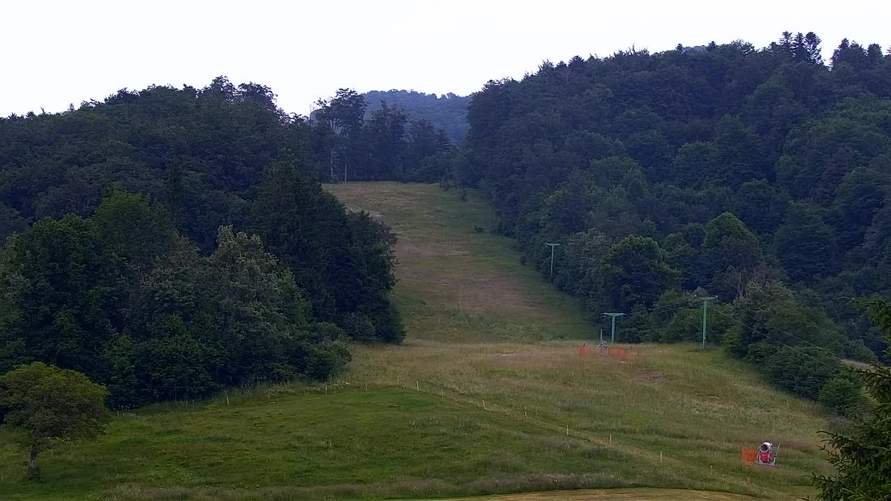Webcam Lokve – The beauty of the Trnovo forest