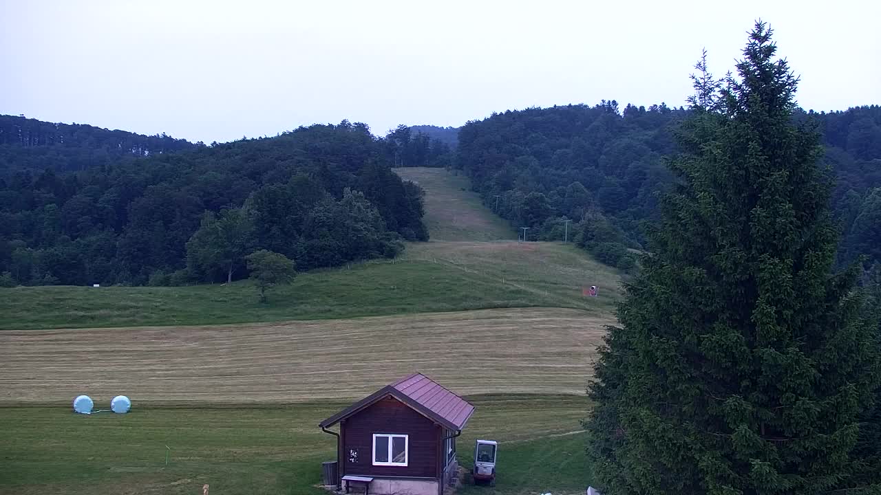 Webcam Lokve – The beauty of the Trnovo forest