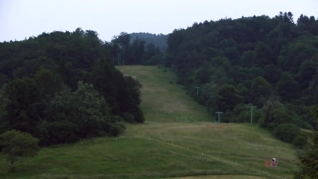 Webcam Lokve – The beauty of the Trnovo forest