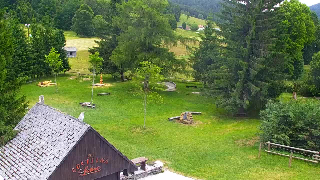 Webcam Lokve – The beauty of the Trnovo forest