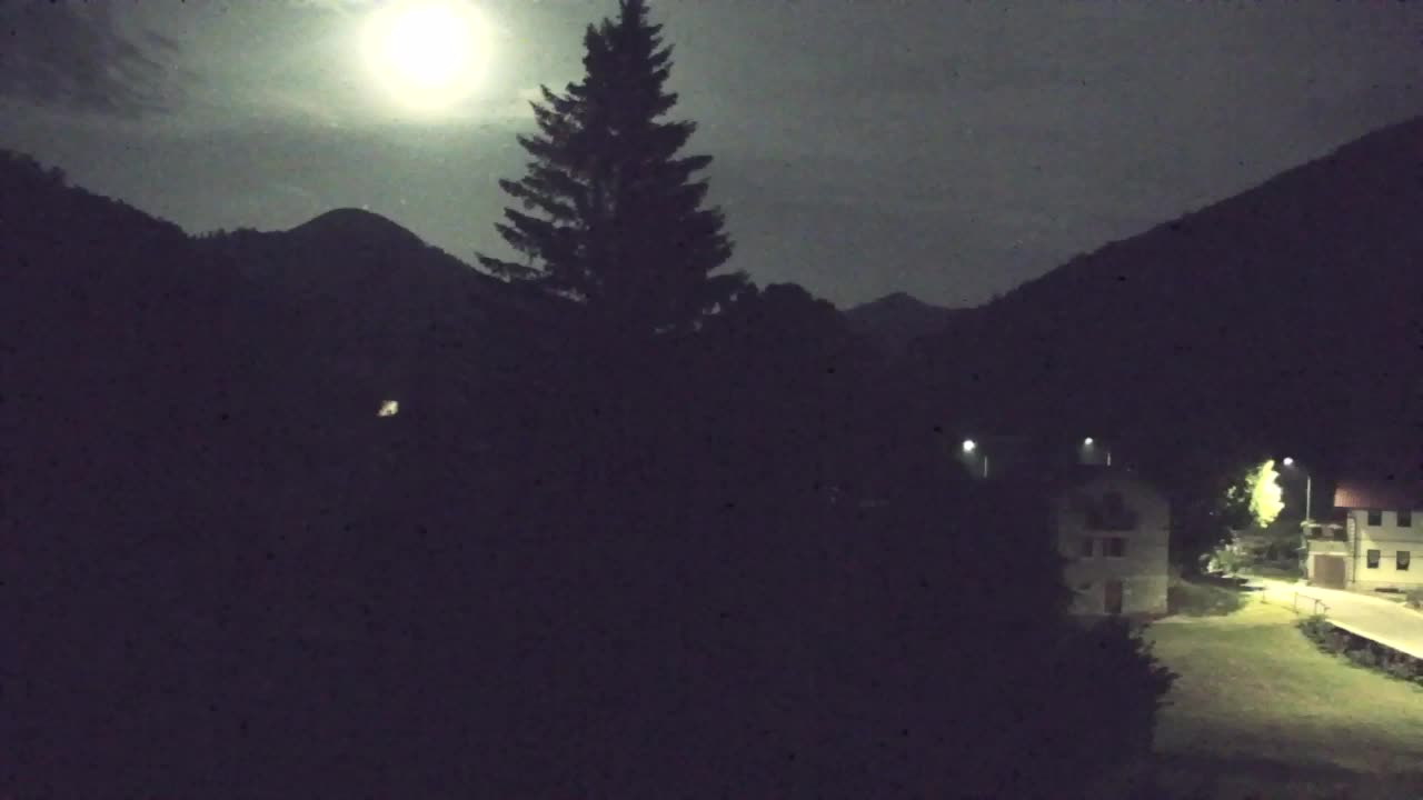 Webcam Lokve – The beauty of the Trnovo forest