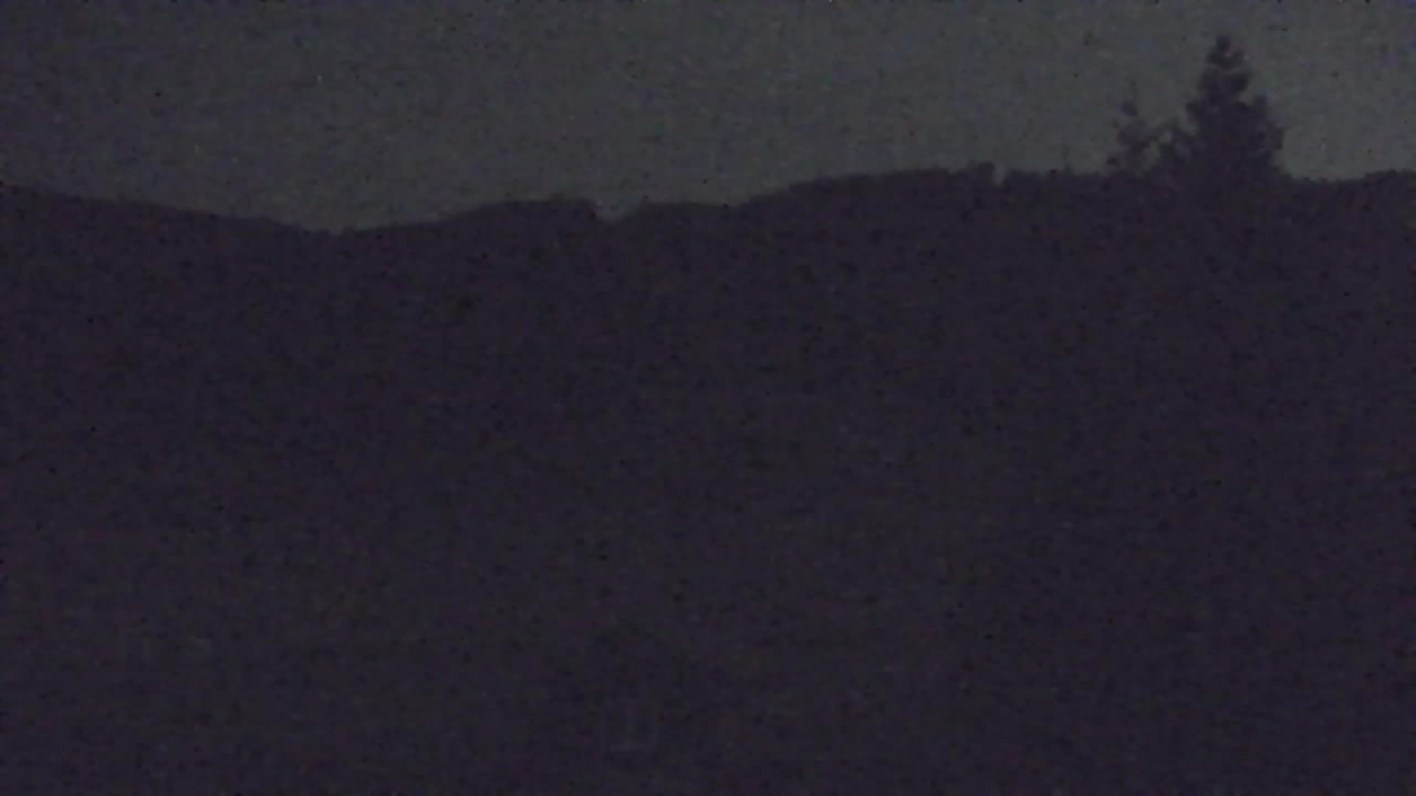 Webcam Loqua / Lokve – La bellezza della selva di Tarnova