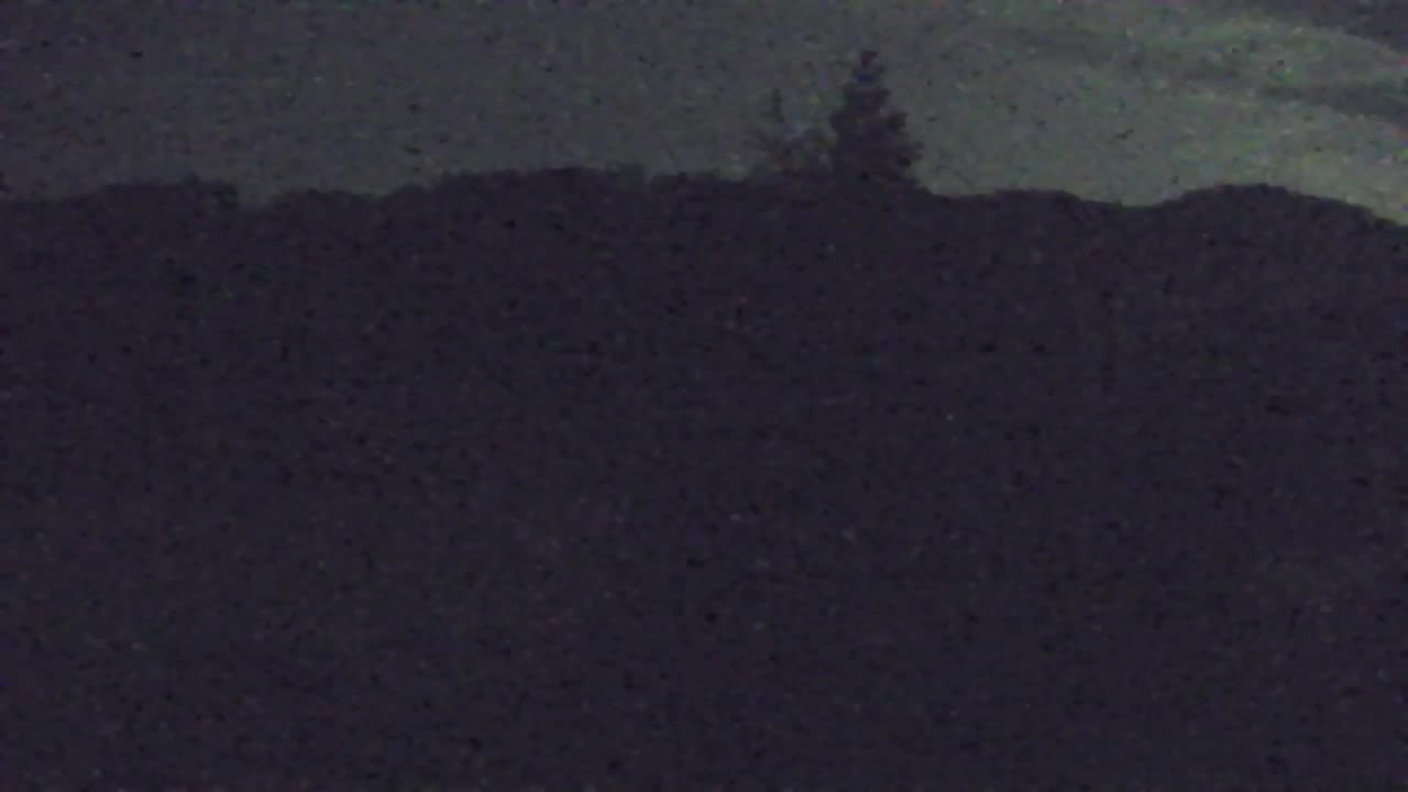 Webcam Lokve – The beauty of the Trnovo forest