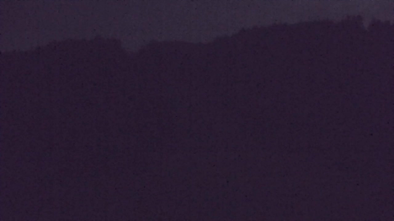Webcam Lokve – The beauty of the Trnovo forest