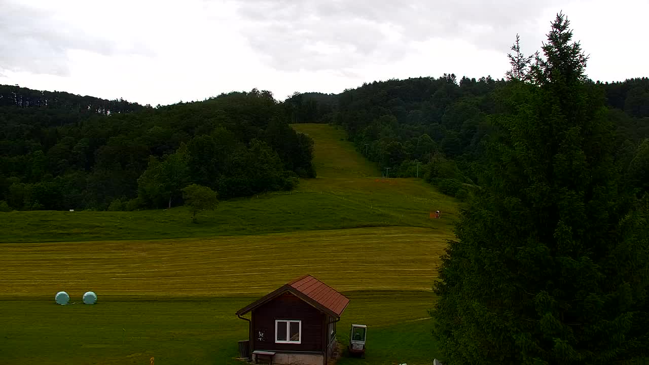 Webcam Loqua / Lokve – La bellezza della selva di Tarnova